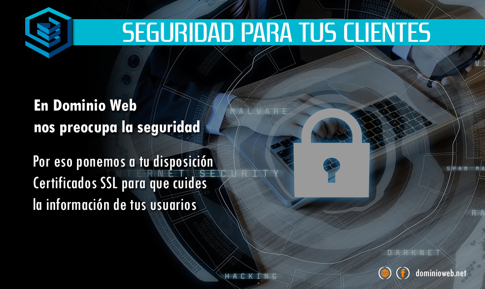 dominio web